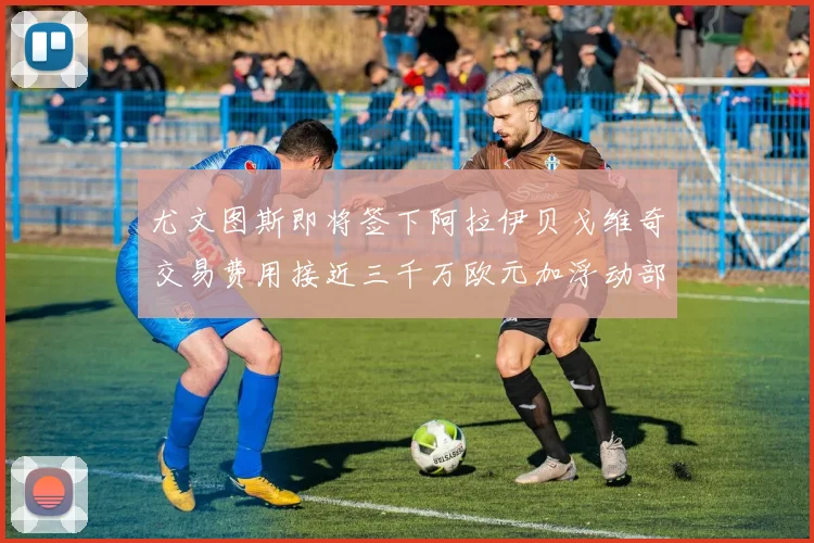 尤文图斯即将签下阿拉伊贝戈维奇交易费用接近三千万欧元加浮动部分
