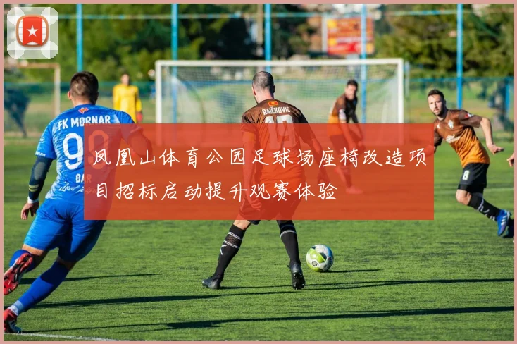 凤凰山体育公园足球场座椅改造项目招标启动提升观赛体验