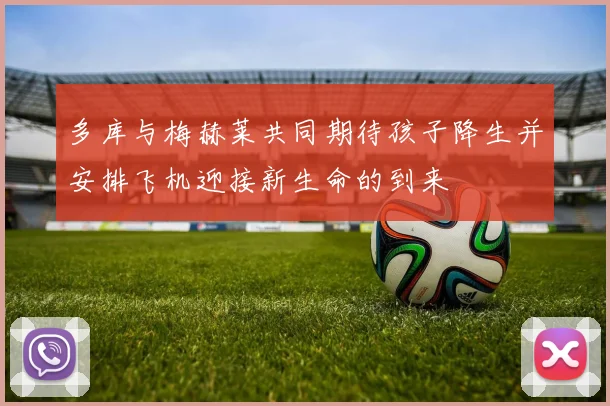 多库与梅赫莱共同期待孩子降生并安排飞机迎接新生命的到来