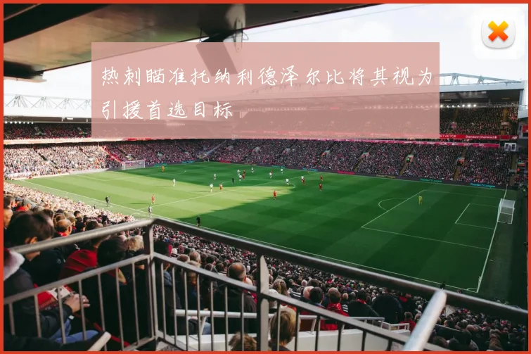 热刺瞄准托纳利德泽尔比将其视为引援首选目标