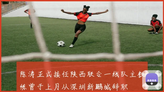 陈涛正式接任陕西联合一线队主教练曾于上月从深圳新鹏城辞职