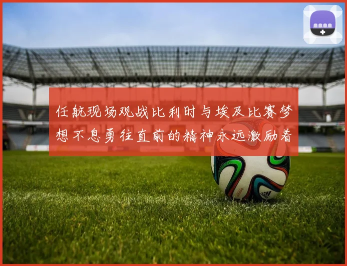任航现场观战比利时与埃及比赛梦想不息勇往直前的精神永远激励着我们